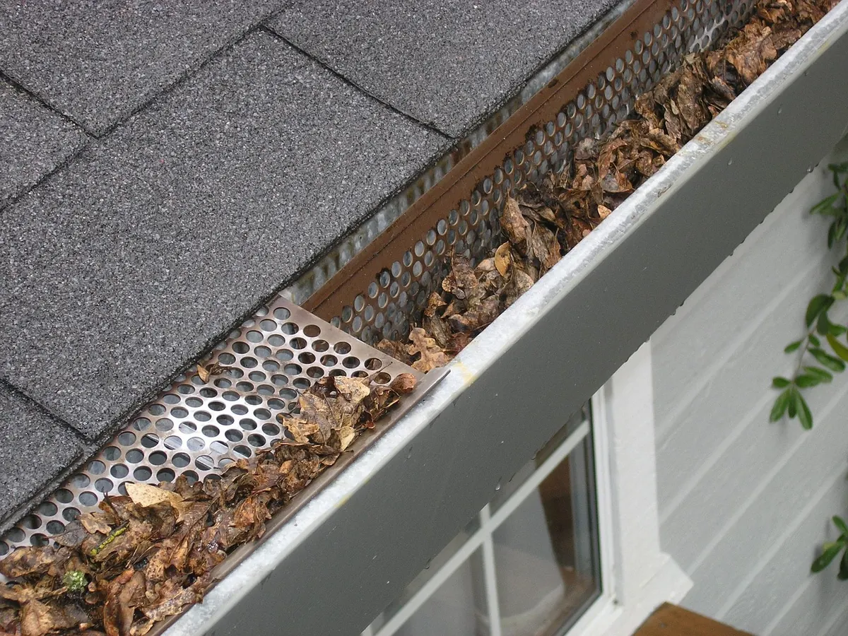 Gutter Cleaning and Downpipe Checks for Somerset Homes